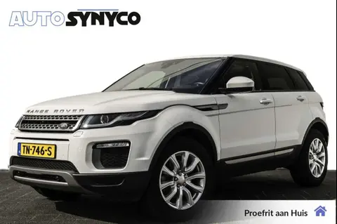 Used LAND ROVER RANGE ROVER EVOQUE Diesel 2016 Ad 