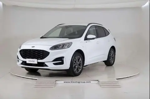 Used FORD KUGA Hybrid 2021 Ad 