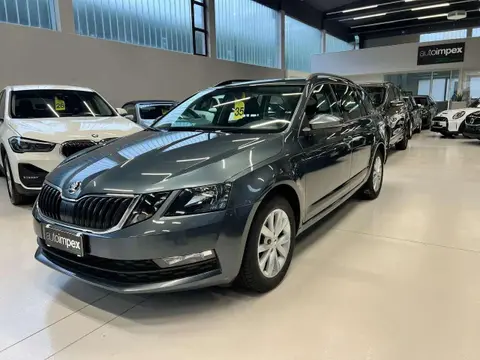 Annonce SKODA OCTAVIA Diesel 2019 d'occasion 