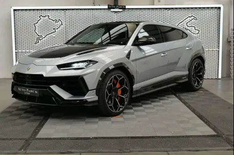 Used LAMBORGHINI URUS Petrol 2024 Ad 