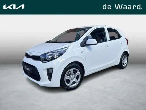 Annonce KIA PICANTO Essence 2024 d'occasion 