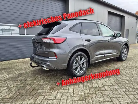 Used FORD KUGA Hybrid 2024 Ad 