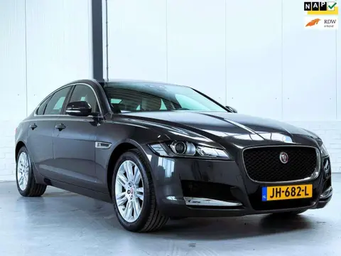 Annonce JAGUAR XF Essence 2016 d'occasion 