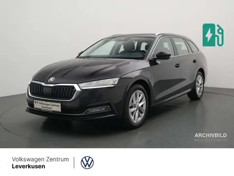 Used SKODA OCTAVIA Petrol 2022 Ad 