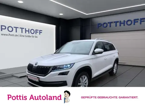 Annonce SKODA KODIAQ Diesel 2021 d'occasion 