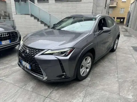 Annonce LEXUS UX Hybride 2021 d'occasion 