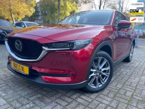 Annonce MAZDA CX-5 Essence 2019 d'occasion 