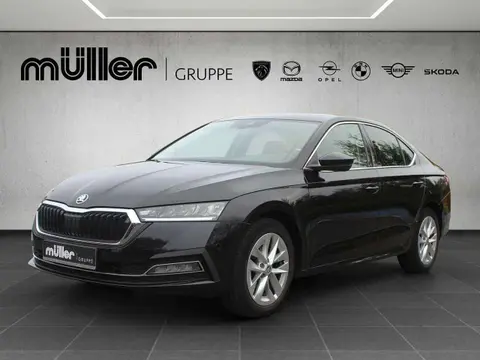 Used SKODA OCTAVIA Petrol 2020 Ad 