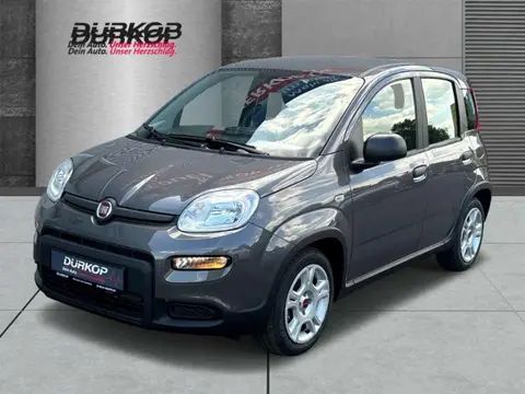 Annonce FIAT PANDA Essence 2024 d'occasion 