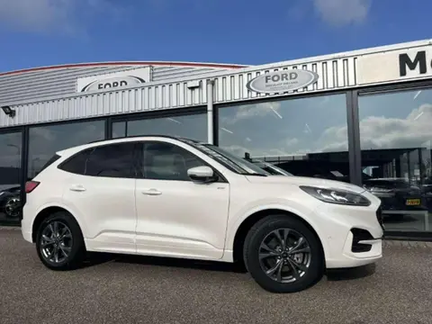 Used FORD KUGA Hybrid 2021 Ad 