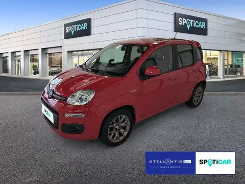 Used FIAT PANDA Petrol 2019 Ad 