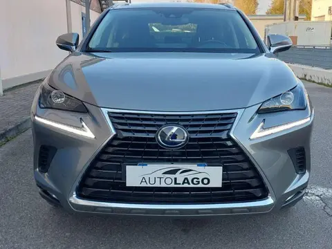 Used LEXUS NX Hybrid 2020 Ad 