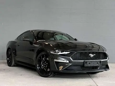 Used FORD MUSTANG Petrol 2020 Ad 