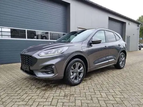 Annonce FORD KUGA Hybride 2024 d'occasion 