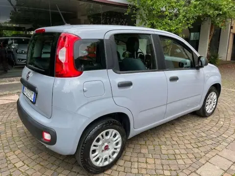 Used FIAT PANDA Petrol 2020 Ad 