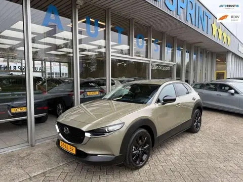 Annonce MAZDA CX-30 Hybride 2024 d'occasion 