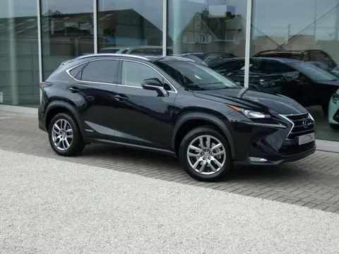 Used LEXUS NX Hybrid 2016 Ad 