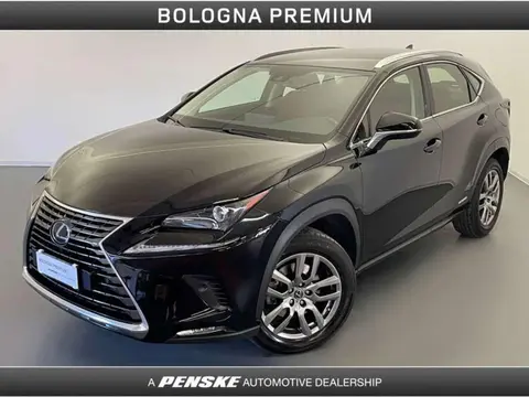 Used LEXUS NX Hybrid 2021 Ad 