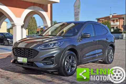 Annonce FORD KUGA Hybride 2021 d'occasion 