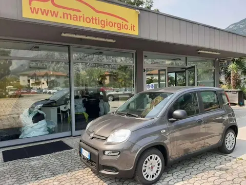 Annonce FIAT PANDA Hybride 2023 d'occasion 