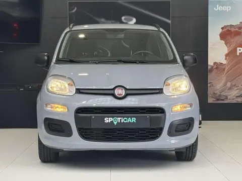 Used FIAT PANDA Petrol 2018 Ad 