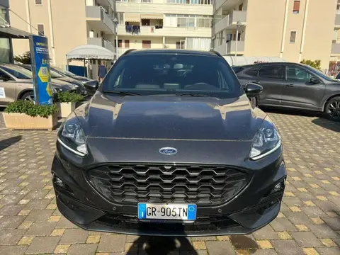 Annonce FORD KUGA Hybride 2023 d'occasion 