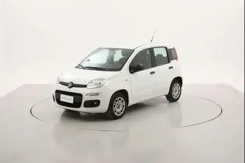 Used FIAT PANDA Petrol 2019 Ad 