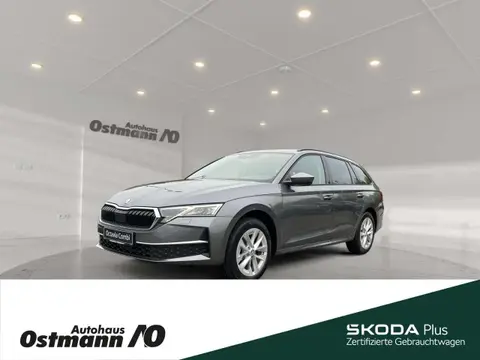 Annonce SKODA OCTAVIA Diesel 2024 d'occasion 