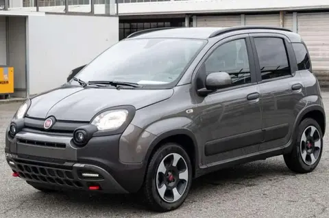 Used FIAT PANDA Hybrid 2023 Ad 