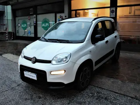 Annonce FIAT PANDA Hybride 2022 d'occasion 