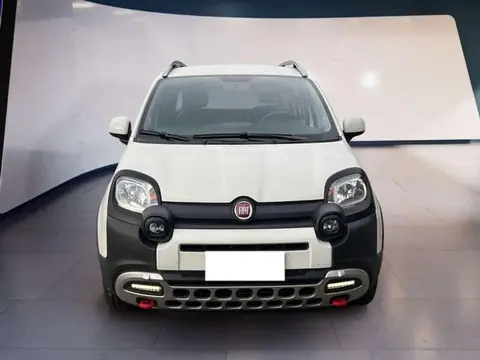 Annonce FIAT PANDA Hybride 2022 d'occasion 