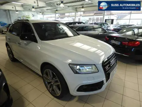 Used AUDI SQ5 Diesel 2016 Ad 