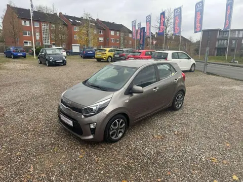 Used KIA PICANTO Petrol 2019 Ad 