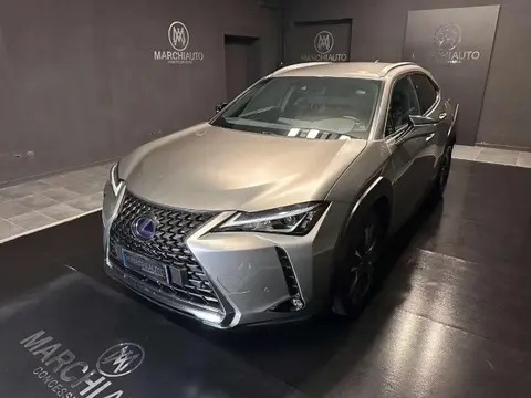 Used LEXUS UX Hybrid 2019 Ad 