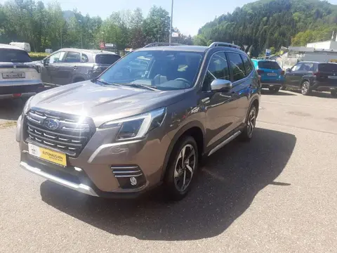 Used SUBARU FORESTER Petrol 2024 Ad 