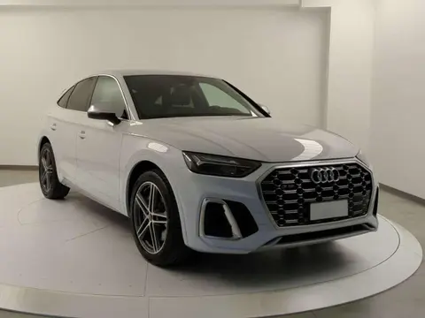 Used AUDI SQ5 Hybrid 2021 Ad 