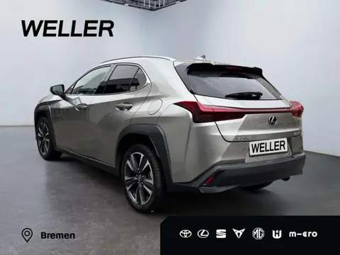 Used LEXUS UX Hybrid 2023 Ad 