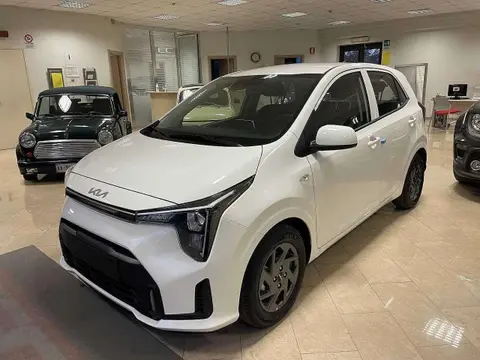 Annonce KIA PICANTO Essence 2024 d'occasion 