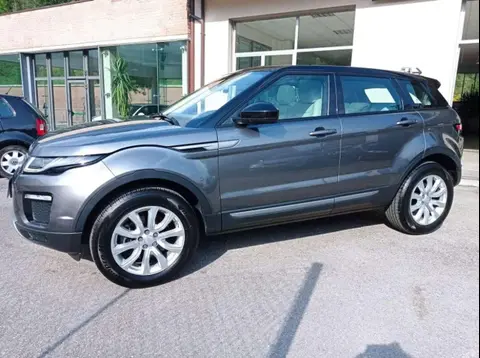 Annonce LAND ROVER RANGE ROVER EVOQUE Diesel 2018 d'occasion 