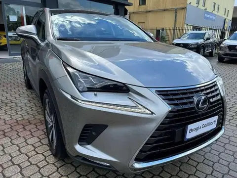 Annonce LEXUS NX Hybride 2018 d'occasion 