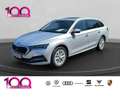 Used SKODA OCTAVIA Petrol 2024 Ad 