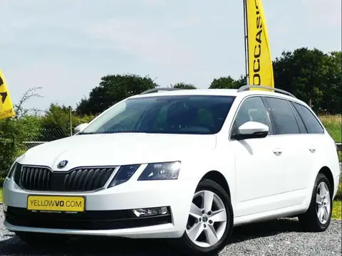 Annonce SKODA OCTAVIA Diesel 2018 d'occasion 