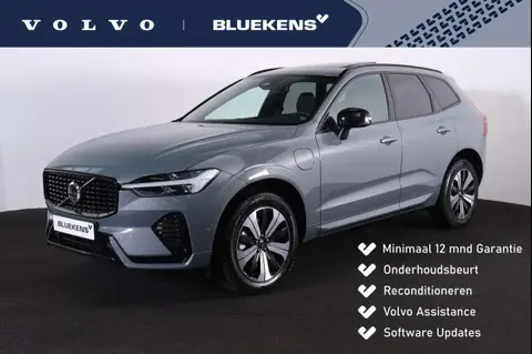 Annonce VOLVO XC60 Hybride 2024 d'occasion 