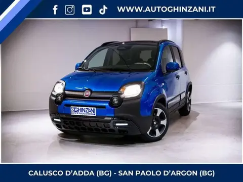 Annonce FIAT PANDA Hybride 2024 d'occasion 