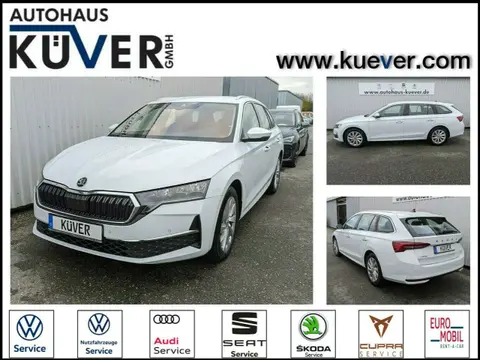 Used SKODA OCTAVIA Petrol 2024 Ad 