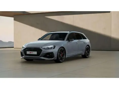 Used AUDI RS4 Petrol 2024 Ad 