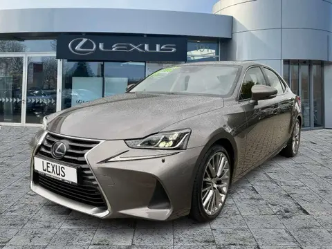 Used LEXUS IS Hybrid 2020 Ad 