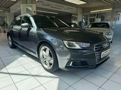 Used AUDI A4 Diesel 2016 Ad Germany