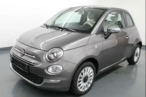 Used FIAT 500 Petrol 2021 Ad 