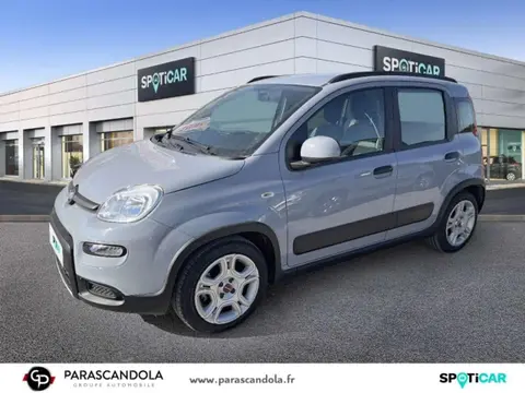 Used FIAT PANDA  2023 Ad 